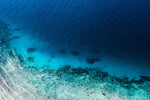 Reef South Pacific