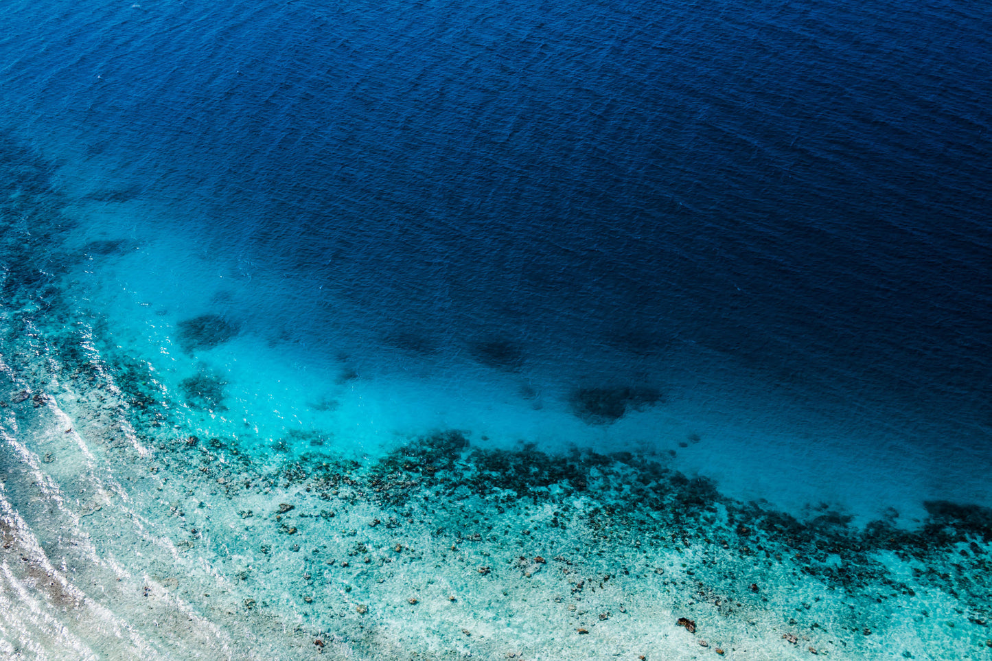 Reef South Pacific